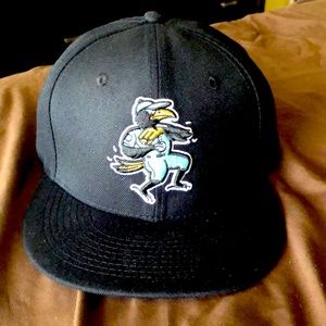 Crow hop fitted hat